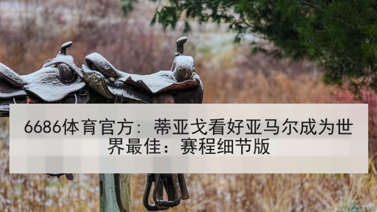 6686体育官方: 蒂亚戈看好亚马尔成为世界最佳:赛程细节版 6686体育官方: 蒂亚戈看好亚马尔成为世界最佳:赛程细节版