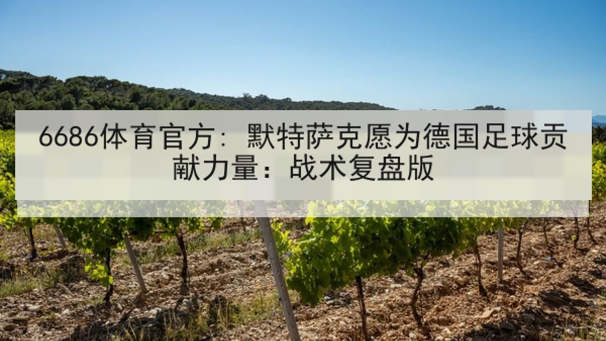6686体育官方: 默特萨克愿为德国足球贡献力量：战术复盘版