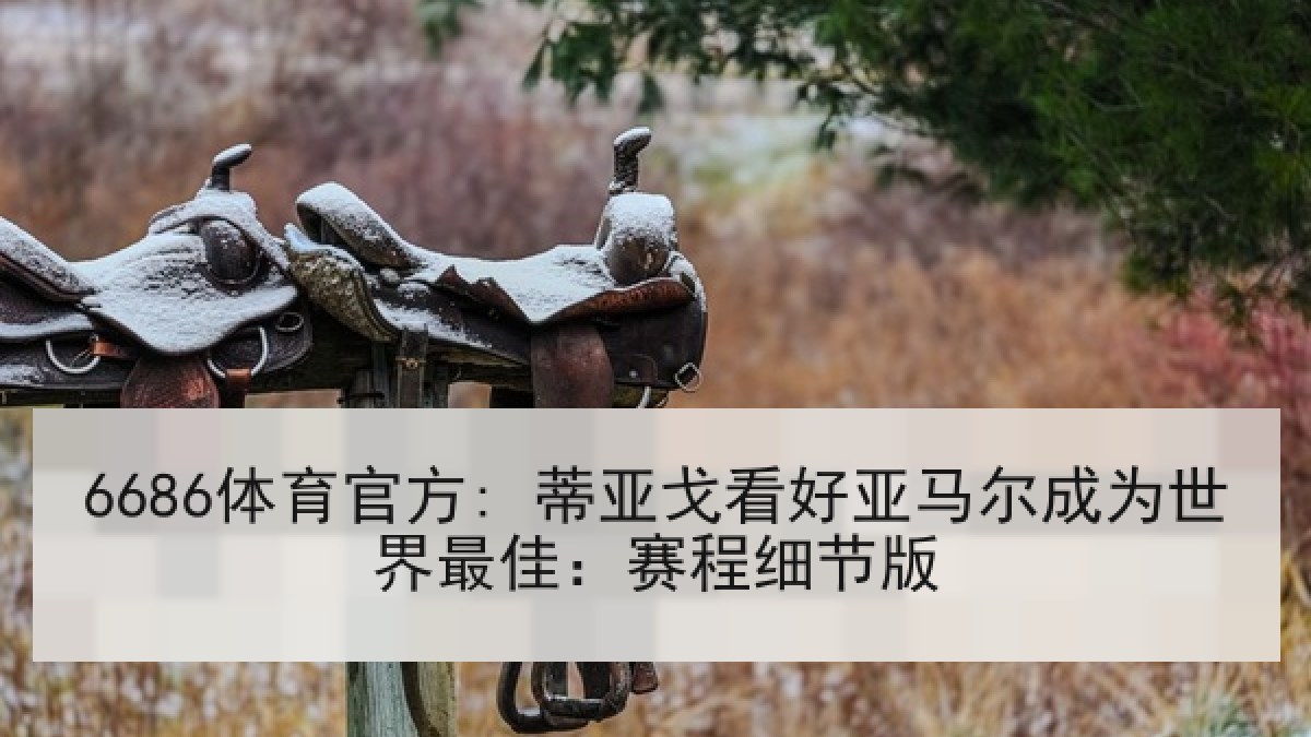 6686体育官方: 蒂亚戈看好亚马尔成为世界最佳:赛程细节版 6686体育官方: 蒂亚戈看好亚马尔成为世界最佳:赛程细节版