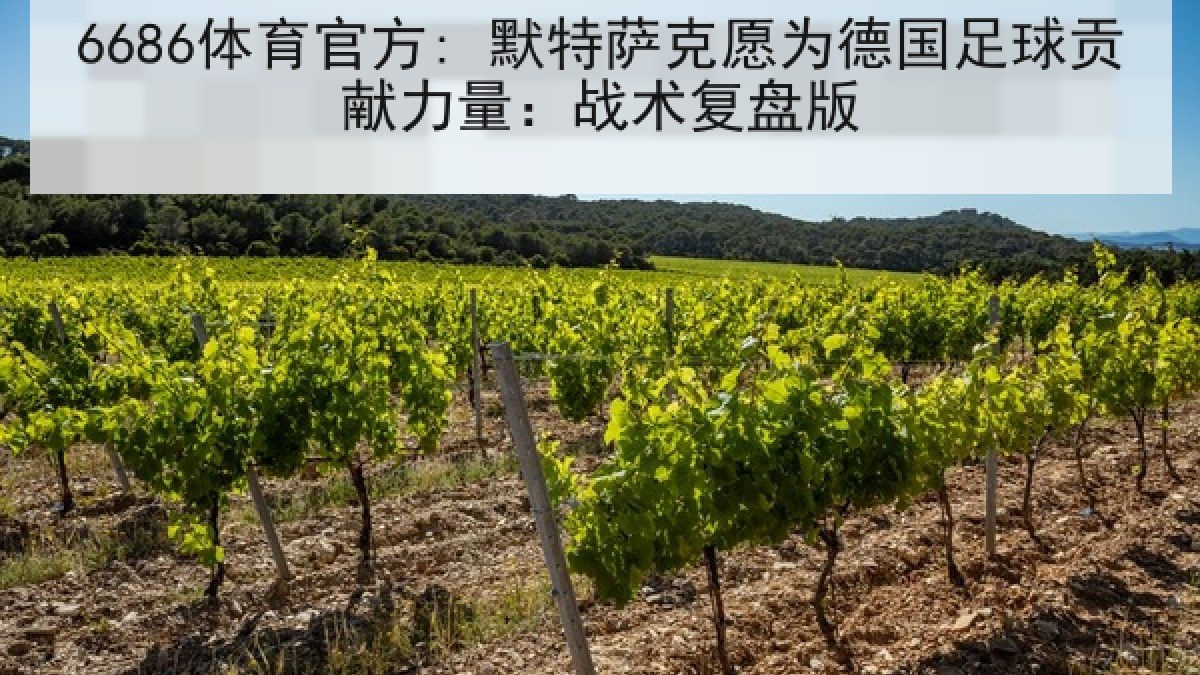 6686体育官方: 默特萨克愿为德国足球贡献力量：战术复盘版