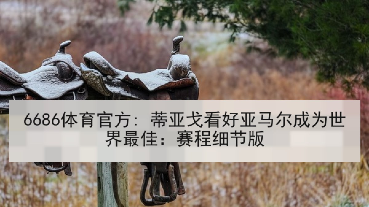 6686体育官方: 蒂亚戈看好亚马尔成为世界最佳：赛程细节版