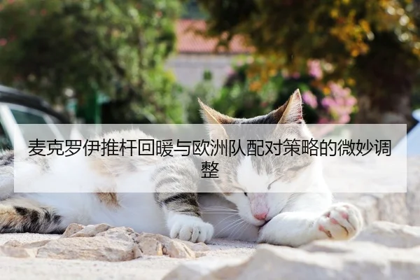 麦克罗伊推杆回暖与欧洲队配对策略的微妙调整