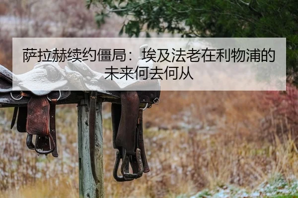萨拉赫续约僵局：埃及法老在利物浦的未来何去何从