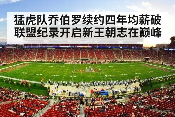 nfl stadium crowd